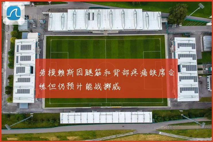 劳模赖斯因腿筋和背部疼痛缺席合练但仍预计能战挪威